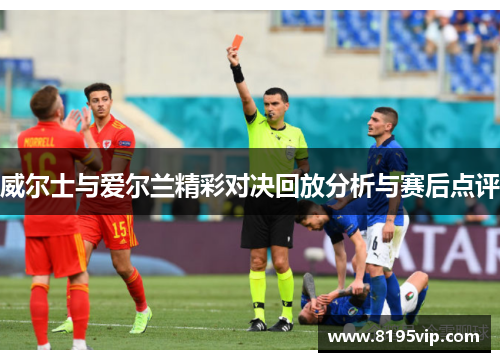 威尔士与爱尔兰精彩对决回放分析与赛后点评